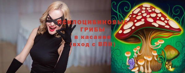 мескалин Новозыбков