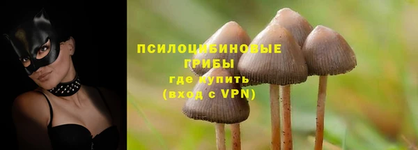 СК Нягань