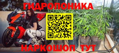 ECSTASY Апшеронск