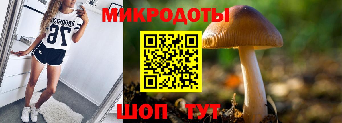 Галлюциногенные грибы Psilocybe Белореченск